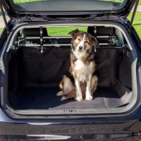 Автомобильная подстилка для багажника 1,50 х 1,20 м - для собак TRIXIE